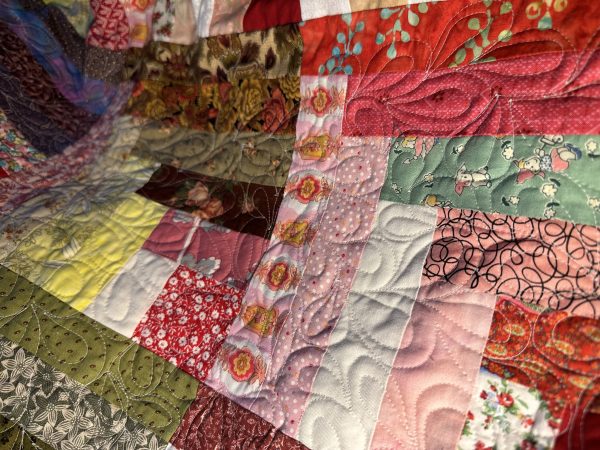 Free Motion Quilting Feather Continuum susies-scraps.com