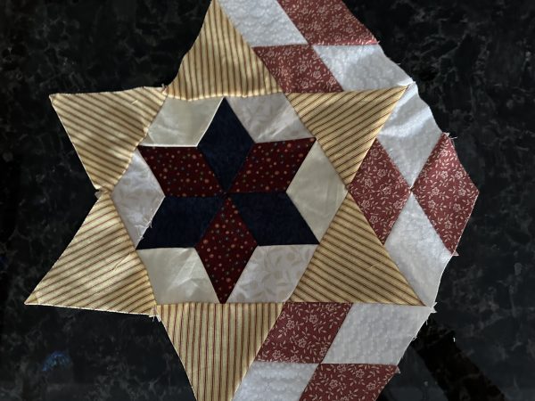 Hexagon Stars Diamond Circles Quilt - Part 5 Making the Rows susies-scraps.com